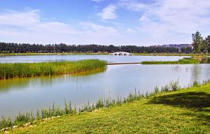 基礎(chǔ)設施建設