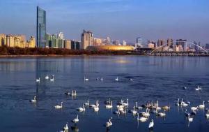 三門峽又一網(wǎng)紅景點，確定不來pick一下？